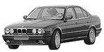 BMW E34 P1430 Fault Code